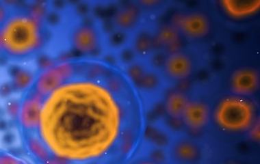 ky体育官网登录入口网页版(中国)有限公司官网